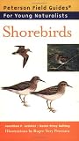 Latimer, Jonathan P.: Shorebirds Latimer, Jonathan P.: Shorebirds