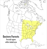 Morrison, Gordon: A Field Guide to Eastern Forests North America