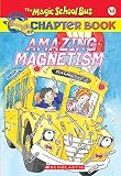 Carmi, Rebecca: Amazing Magnetism