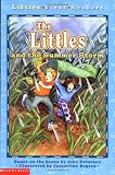 Slater, Teddy: Littles and the Summer Storm