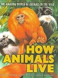 Stonehouse, Bernard: How Animals Live: The Amazing World of Animals in the Wild Stonehouse, Bernard: How Animals Live: The Amazing World of Animals in the Wild