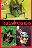 Swanson, Diane: Insectes de Chez Nous Swanson, Diane: Insectes de Chez Nous