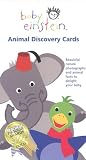 Aigner-Clark, Julie: Animal Discovery Cards