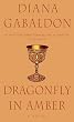 Dragonfly in Amber