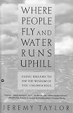Taylor, Jeremy: Where People Fly and Water Runs Uphill: Using Dreams to Tap the Wisdom of the Unconsious Taylor, Jeremy: Where People Fly and Water Runs Uphill: Using Dreams to Tap the Wisdom of the Unconsious