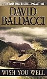 Baldacci, David: Wish You Well