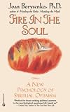 Borysenko, Joan: Fire in the Soul : A New Psychology of Spiritual Optimism