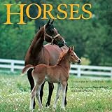 Lundell, Margo: Horses: An Abridgment of Harold Roth's Big Book of Horses