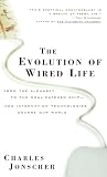 Jonscher, C.: The Evolution of Wired Life: From the Alphabet to the Soul-Catcher Chip-How Information Technologies Change Our World