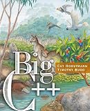 Budd, Timothy: Big C ++