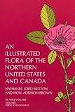 Britton, Nathaniel: An Illustrated Flora of the Northern United States and Canada Britton, Nathaniel: An Illustrated Flora of the Northern United States and Canada