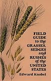 Knobel, Edward: Field Guide to the Grasses, Sedges and Rushes of the United States