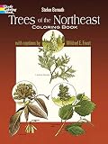 Bernath, Stefen: Trees of the Northeast Coloring Book