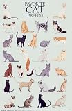 Dover: Favorite Cat Breeds