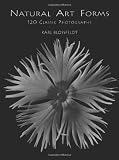 Blossfeldt, Karl: Natural Art Forms: 120 Classic Photographs