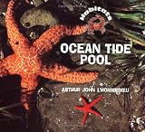 L'Hommedieu, Arthur John: Ocean Tidepool L'Hommedieu, Arthur John: Ocean Tidepool