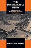 Saxton, Alexander: The Indispensable Enemy: Labor and the Anti-Chinese Movement in California