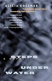 Davis, David E.: Steps under Water Davis, David E.: Steps under Water