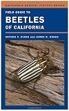 Evans, Arthur V.: Field Guide to Beetles of California Evans, Arthur V.: Field Guide to Beetles of California