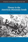 Dunaway, Wilma A.: Slavery in the American Mountain South