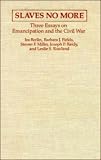 Fields, Barbara J.: Slaves No More: Three Essays on Emancipation and the Civil War