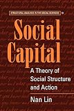 Lin, Nan: Social Capital: A Theory of Social Structure and Action