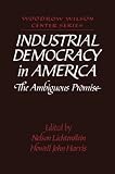 Lichtenstein, Nelson: Industrial Democracy in America: The Ambiguous Promise
