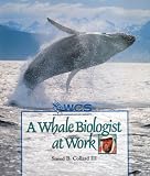 Collard, Sneed B.: A Whale Biologist at Work Collard, Sneed B.: A Whale Biologist at Work