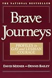 Mixner, David: Brave Journeys