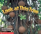 Canizares, Susan: Look at This Tree