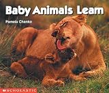 Chanko, Pamela: Baby Animals Learn