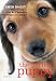 The Perfect Puppy: Britain's Number One Puppy Care Book