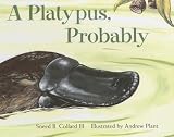 Collard, Sneed B.: Platypus, Probably Collard, Sneed B.: Platypus, Probably