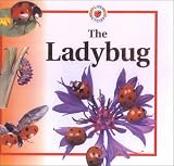 Crewe, Sabrina: The Ladybug