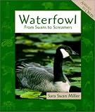 Miller, Sara: Waterfowls: From Swans to Screamers Miller, Sara: Waterfowls: From Swans to Screamers