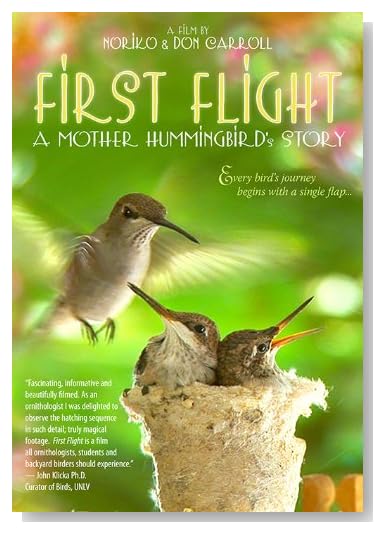 First Flight: A Mother Hummingbird's Story