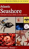 Gosner, Kenneth L.: A Field Guide to the Atlantic Seashore Gosner, Kenneth L.: A Field Guide to the Atlantic Seashore