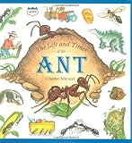 Micucci, Charles: The Life and Times of the Ant Micucci, Charles: The Life and Times of the Ant