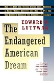 Luttwak, Edward N.: The Endangered American Dream: How to Stop the United States from Becoming a Third-World Country and How to Win the Geo-Economic Struggle for Indust