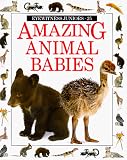 Maynard, Christopher: Amazing Animal Babies Maynard, Christopher: Amazing Animal Babies
