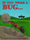 Intervisual Co-Op, Staff: If You Were a Bug : A Pop-Up Book about Bugs and You Intervisual Co-Op, Staff: If You Were a Bug : A Pop-Up Book about Bugs and You