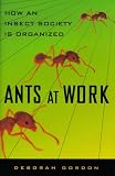 Gordon, Deborah: Ants at Work : How an Insect Society Is Organized Gordon, Deborah: Ants at Work : How an Insect Society Is Organized