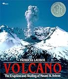 Lauber, Patricia: Volcano