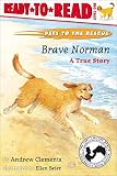 Clements, Andrew: Brave Norman