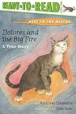 Clements, Andrew: Dolores and the Big Fire
