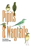 Pipits and Wagtails (0691088349) by Alstrom, Per Alstrom, Per: Pipits and Wagtails