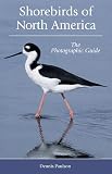 Paulson, Dennis R.: Shorebirds Of North America: The Photographic Guide Paulson, Dennis R.: Shorebirds Of North America: The Photographic Guide
