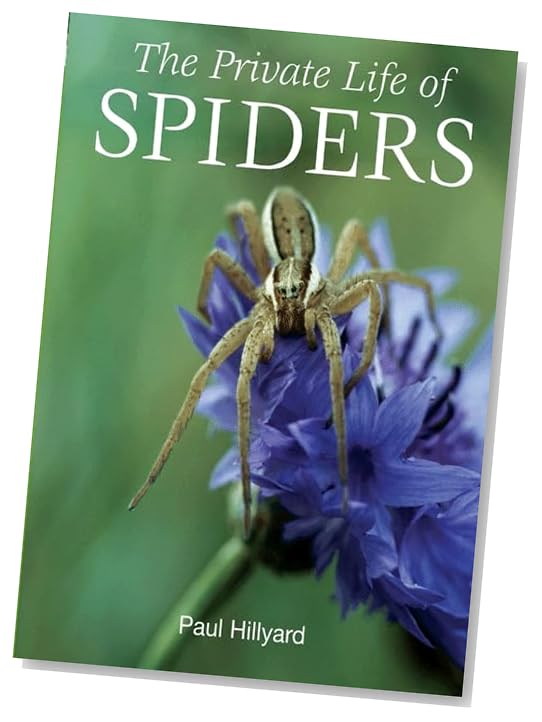 spiders