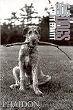 Erwitt, Elliott: Dog Dogs