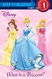 Rh Disney: What Is a Princess? Rh Disney: What Is a Princess?